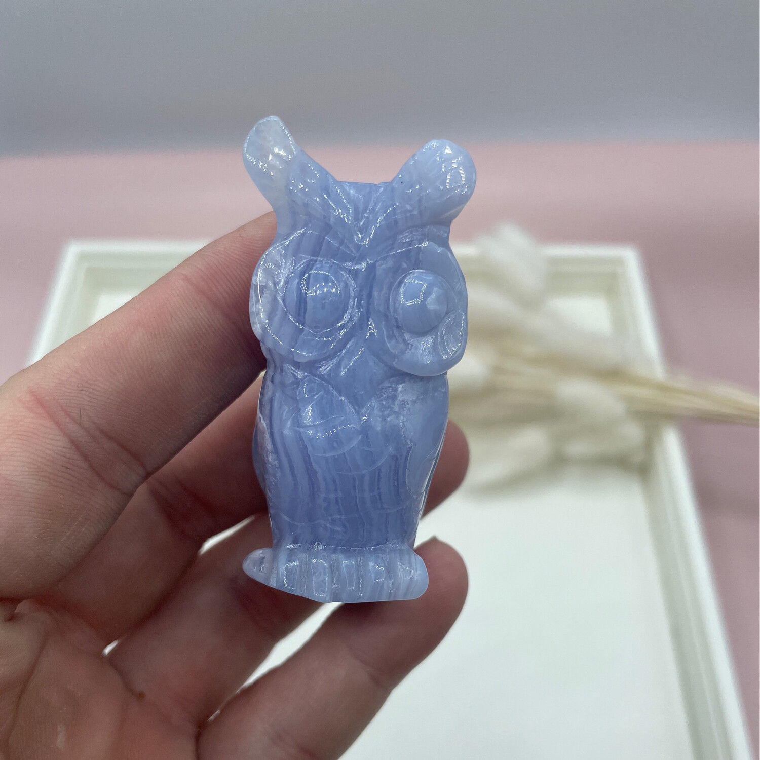 Eule Blue lace Achat