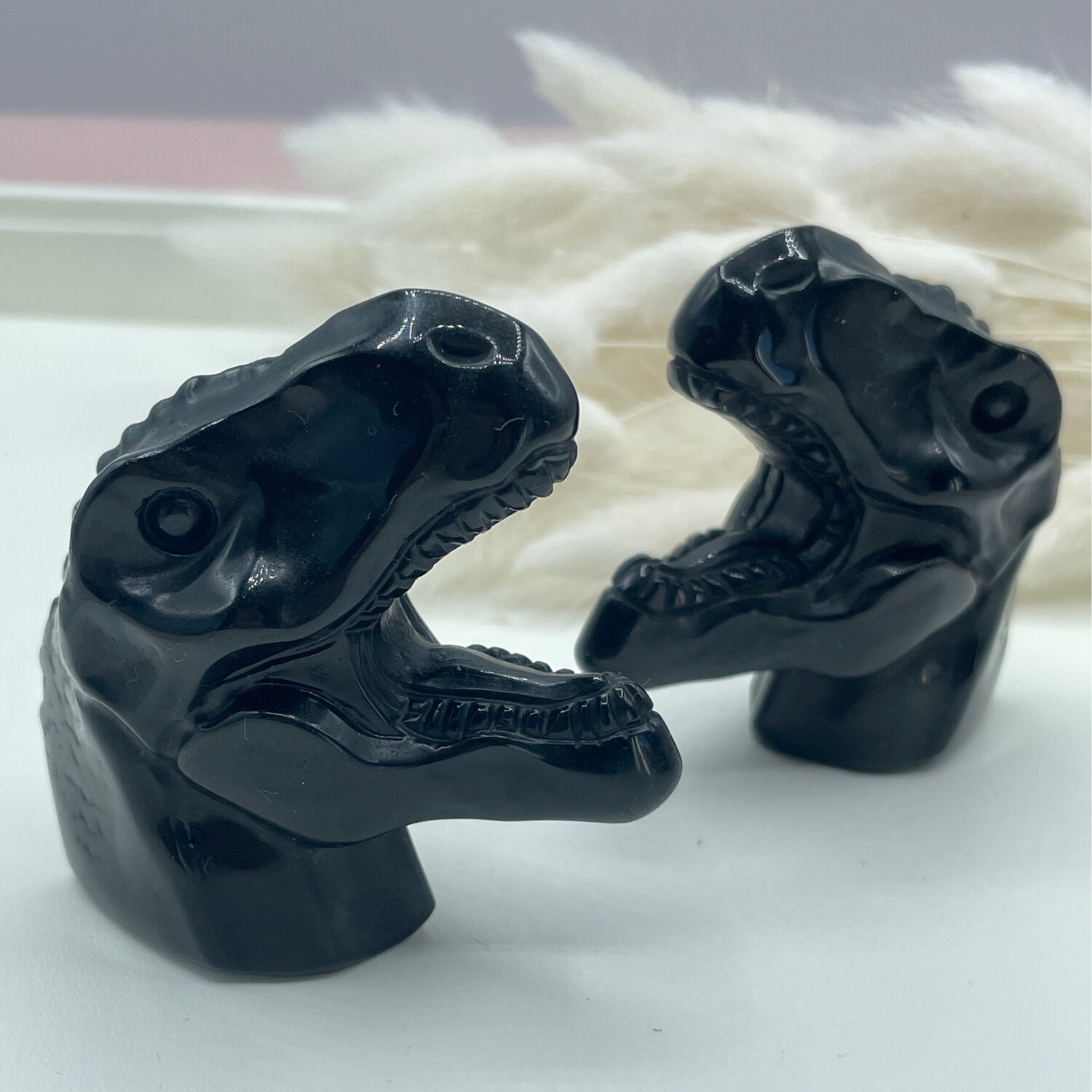 Trex Kopf, Obsidian