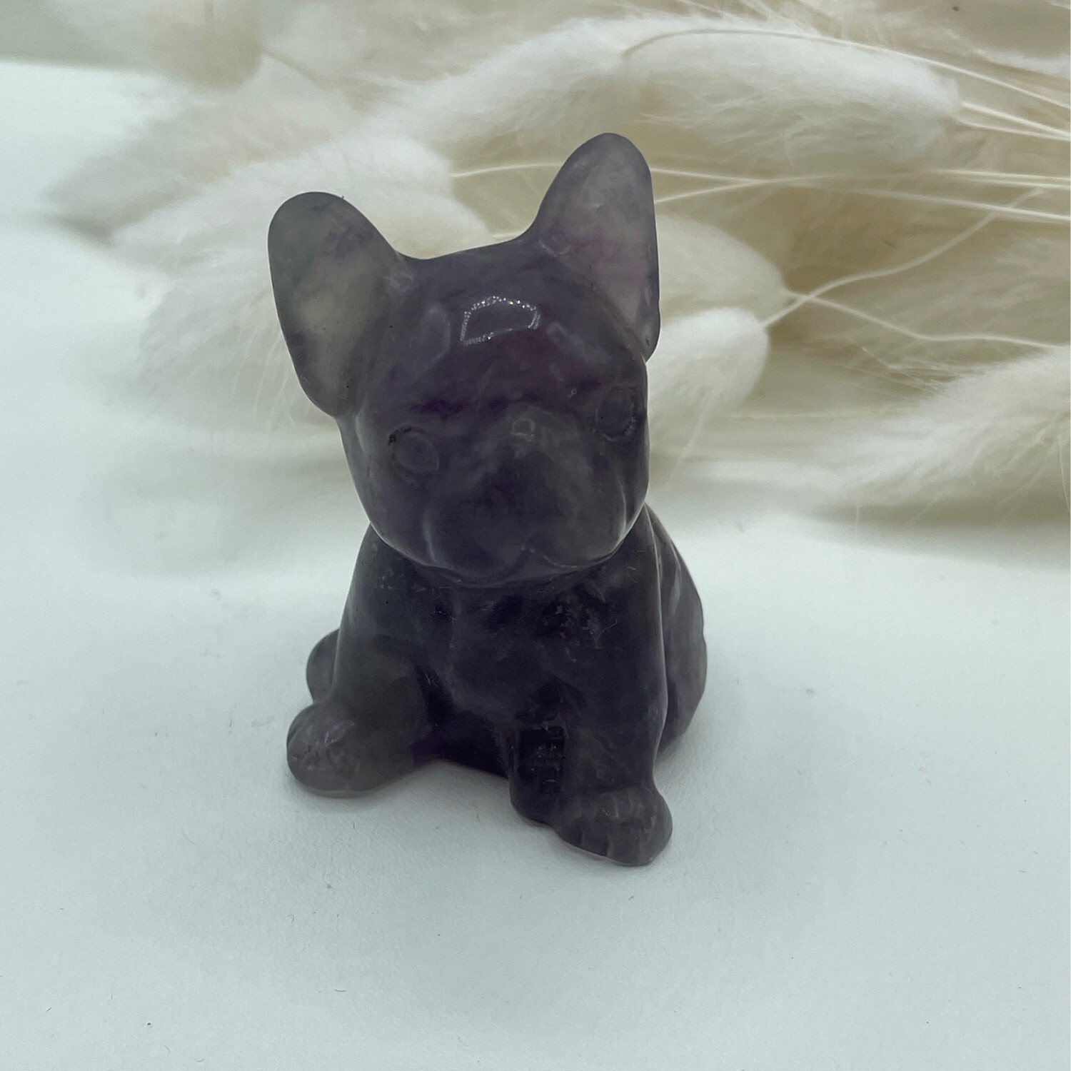 Französische Bulldogge Fluorit