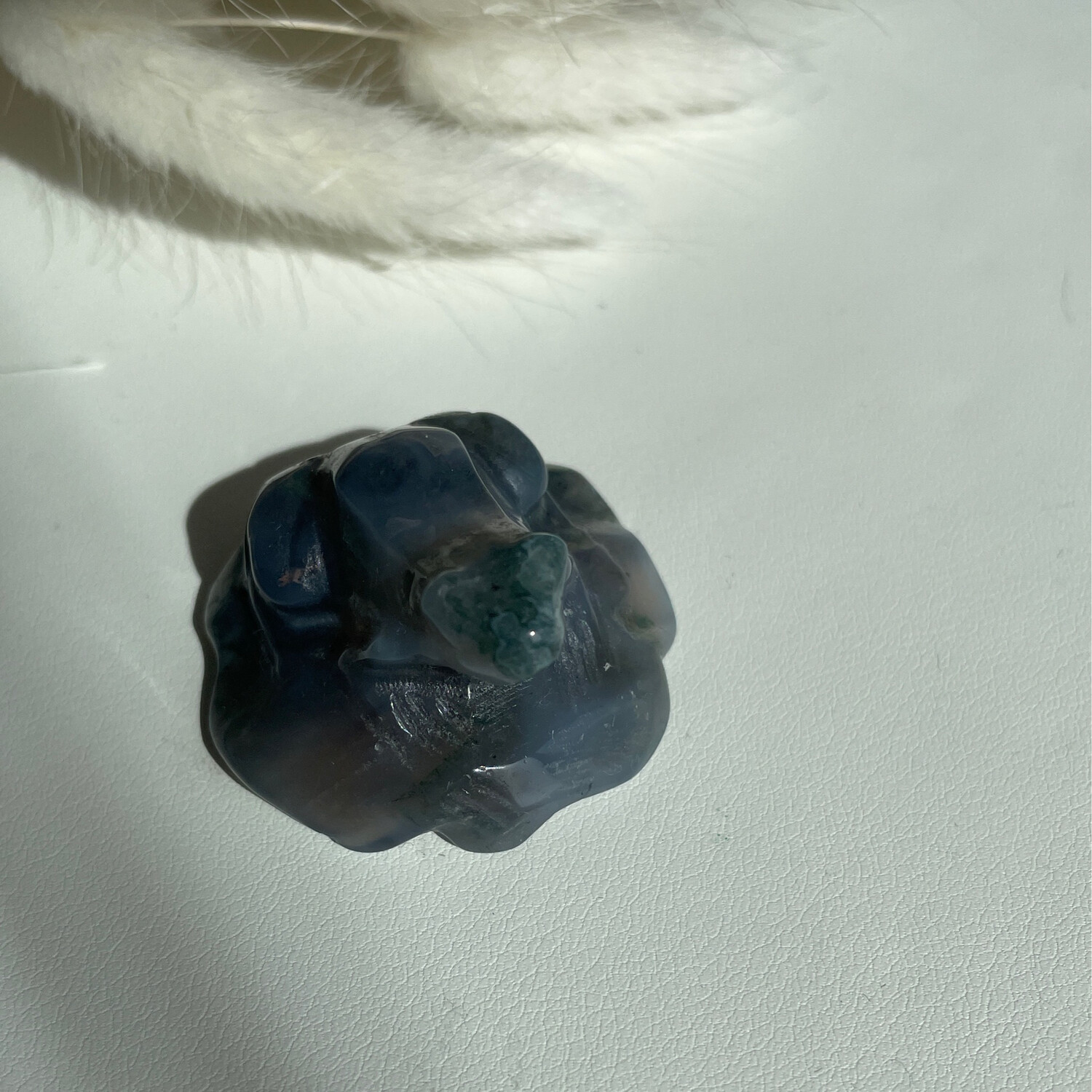 Frosch Moos Achat