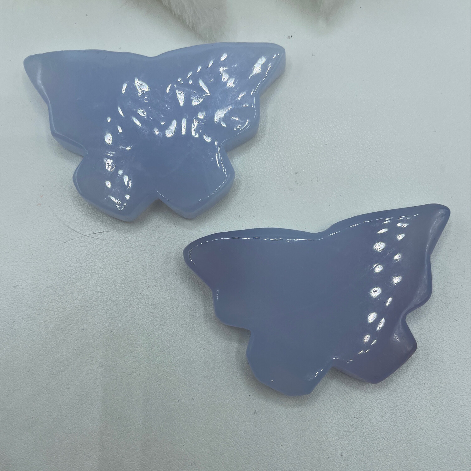 Chalcedon blau Schmetterling