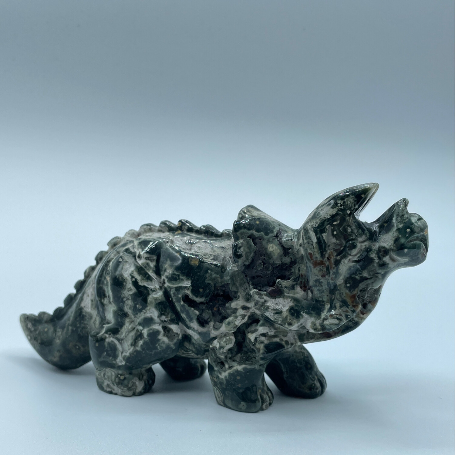 Triceratops, Bubble Ozan Jaspis