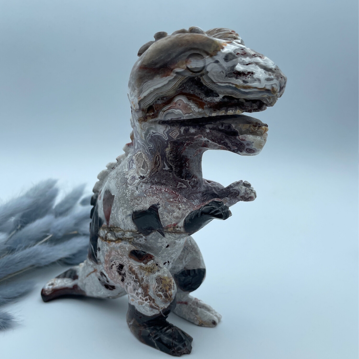 Mexican lace Achat T-Rex