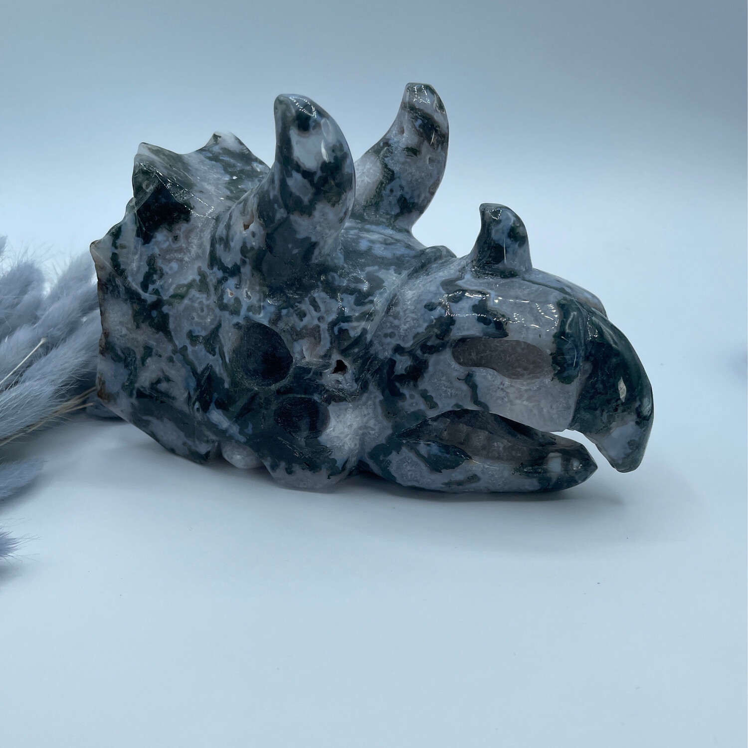 Triceratops Schädel Moosachat