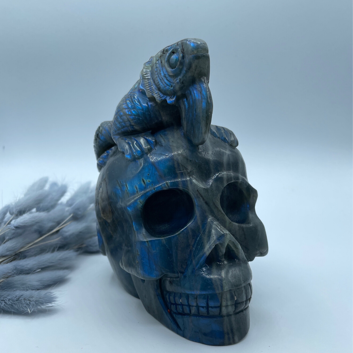 Totenkopf X Echse Labradorit