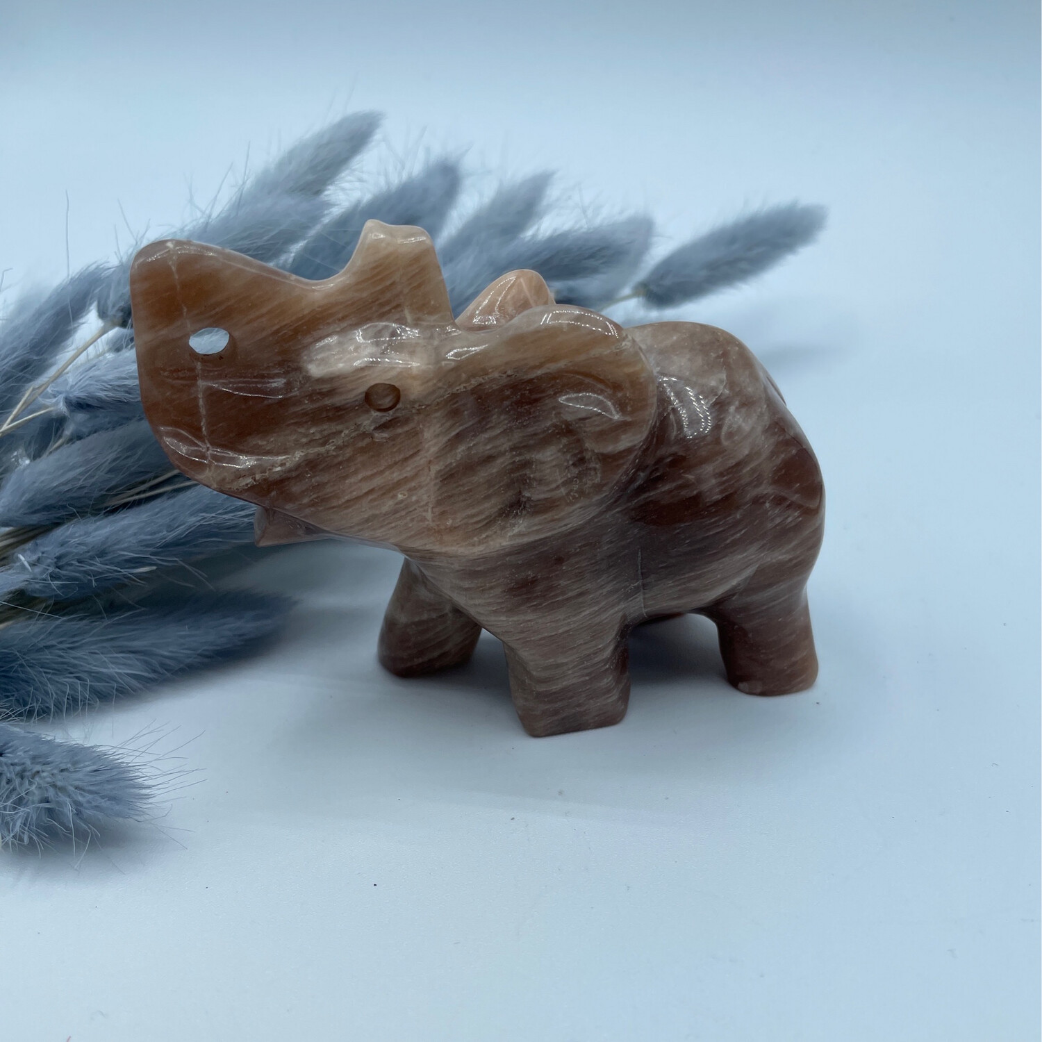 Elefant Mondschein