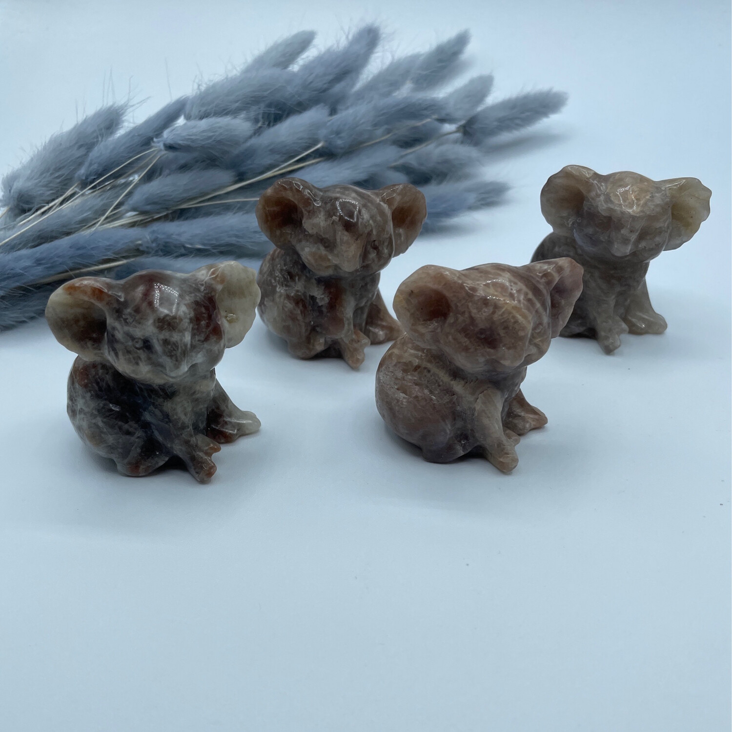 Koala Mondstein