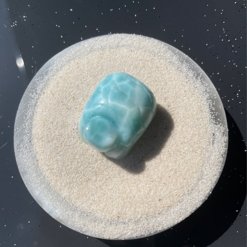 Larimar Schildkröte