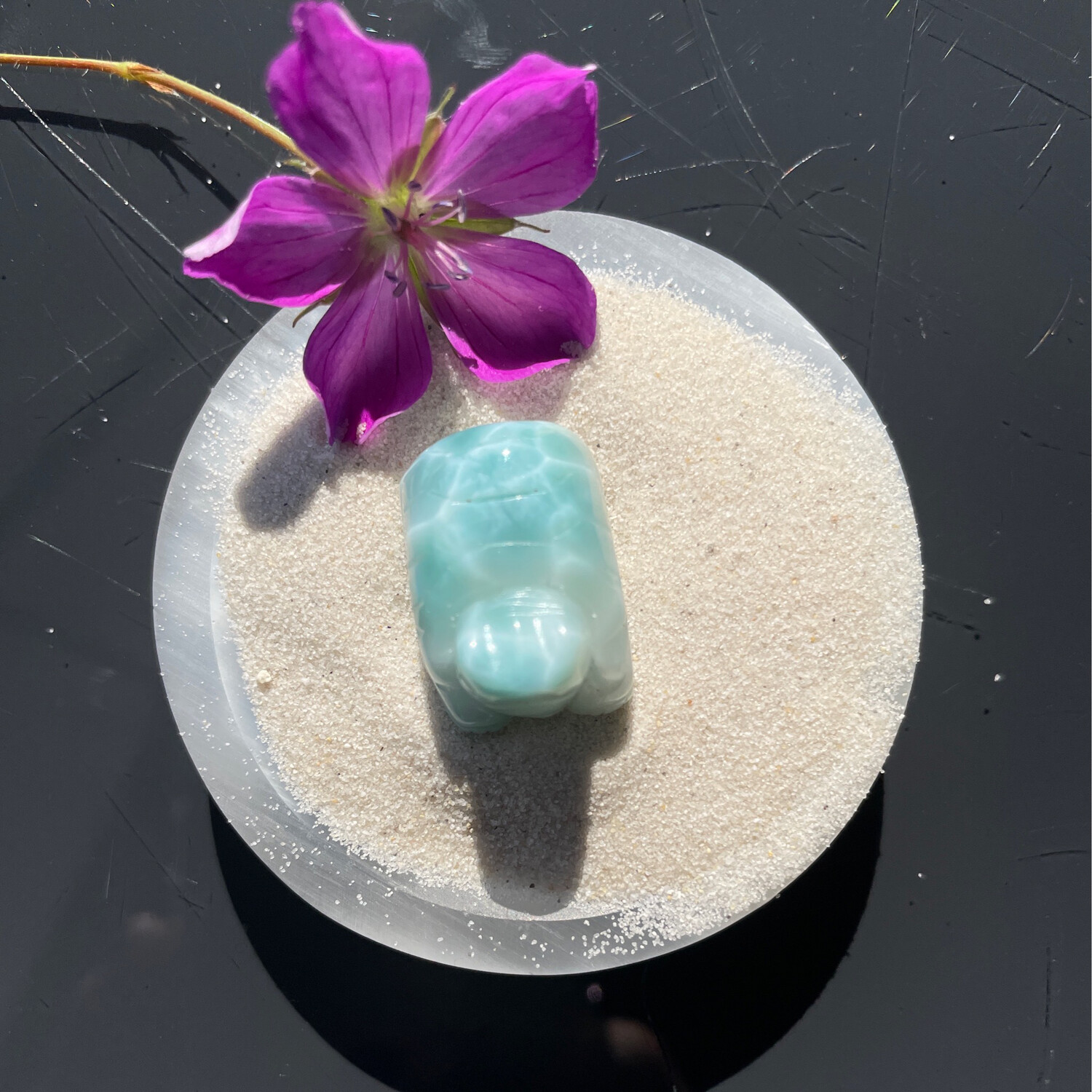 Larimar Schildkröte