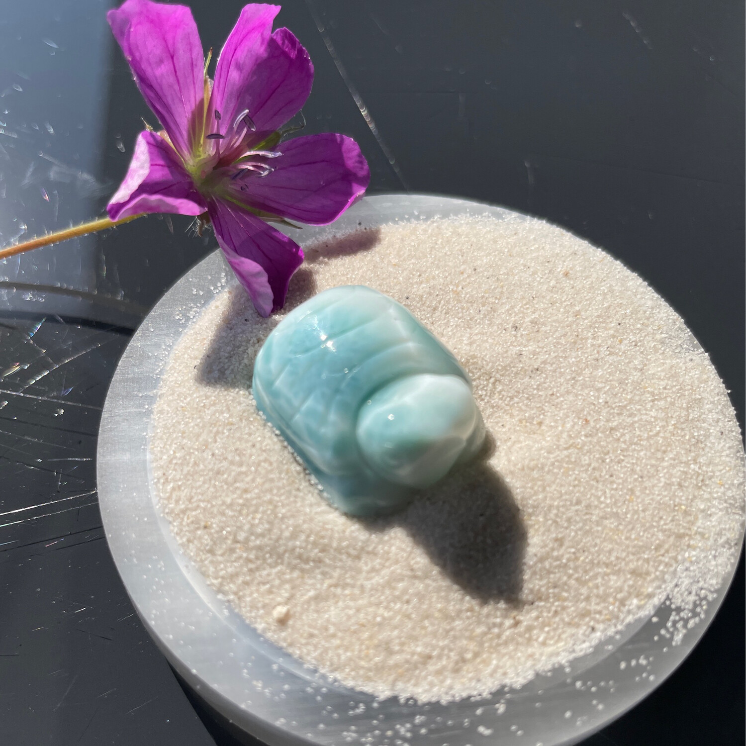 Larimar Schildkröte