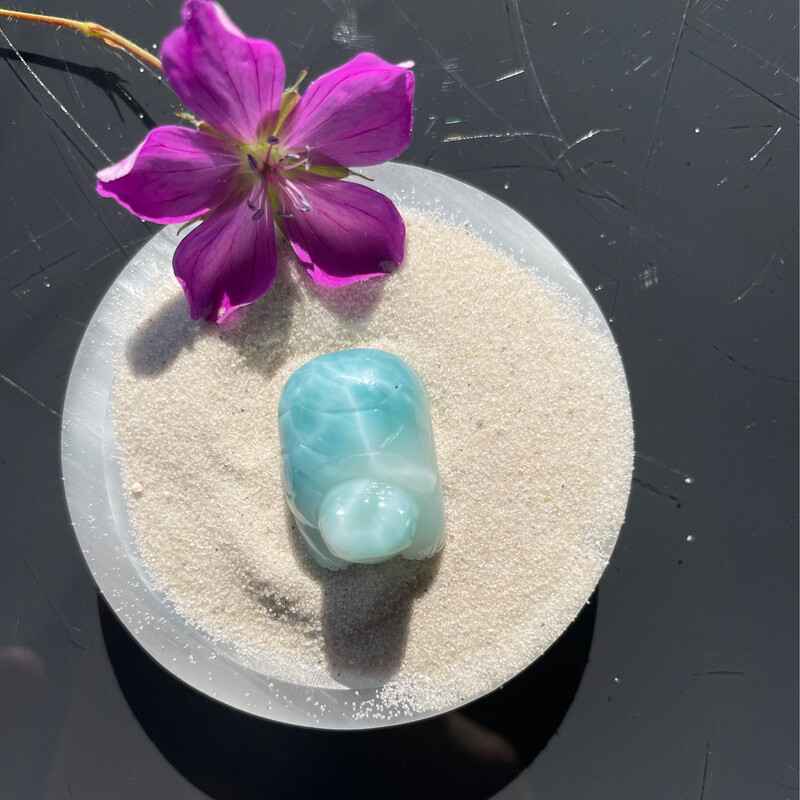 Larimar Schildkröte