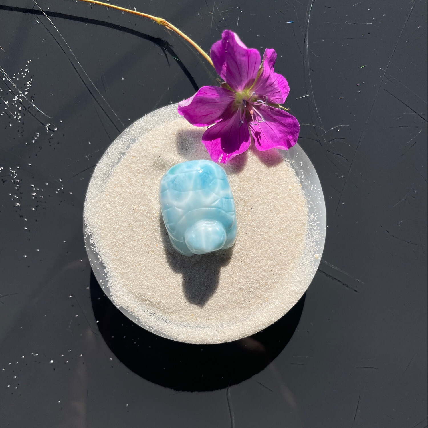 Larimar Schildkröte