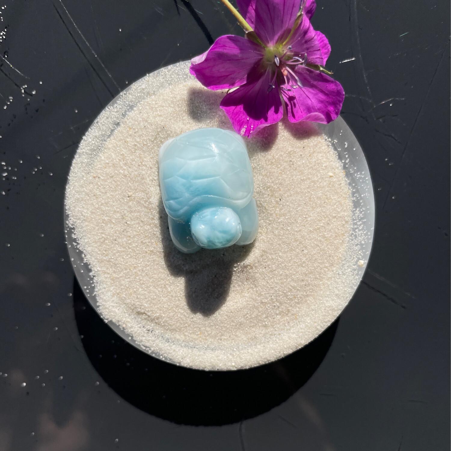 Larimar Schildkröte