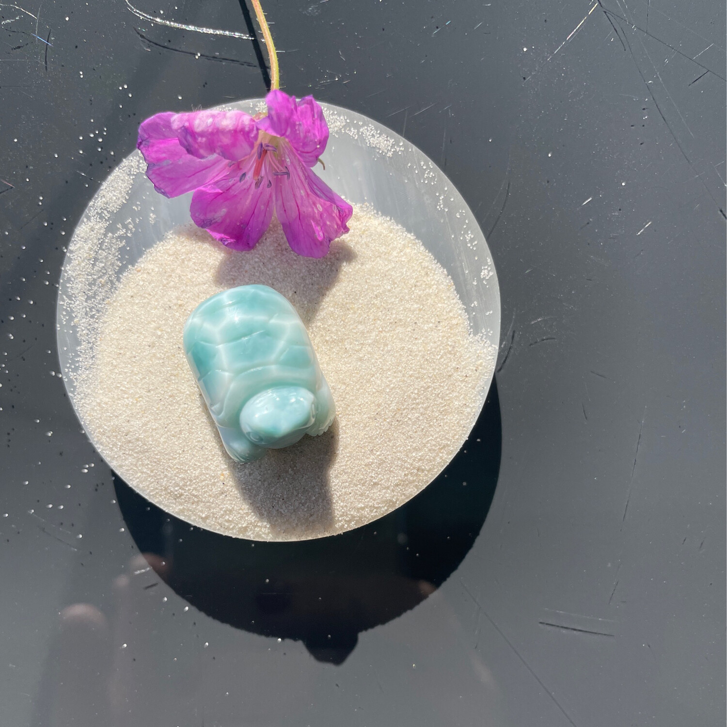 Larimar Schildkröte