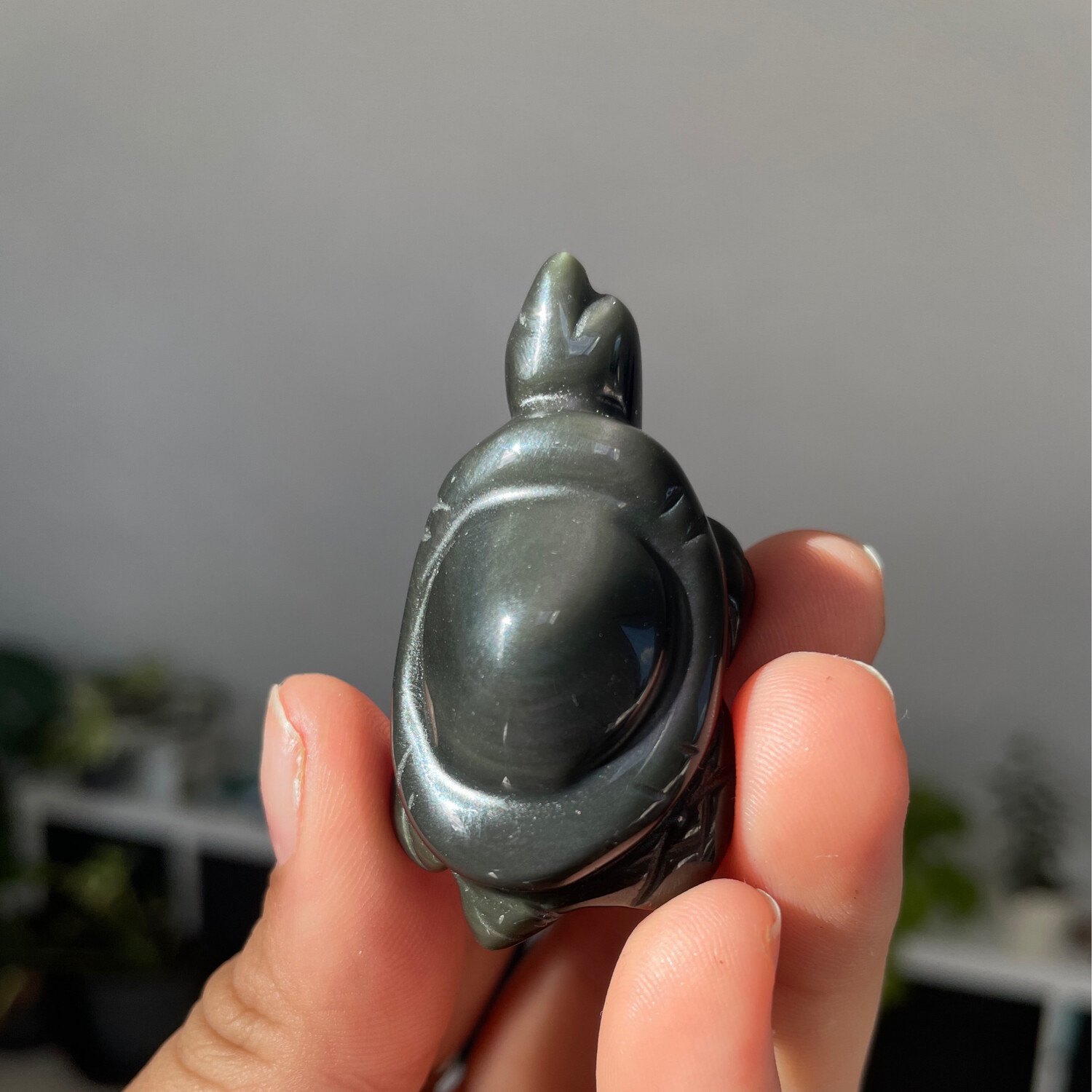 Regenbogen Obsidian Schildkröte