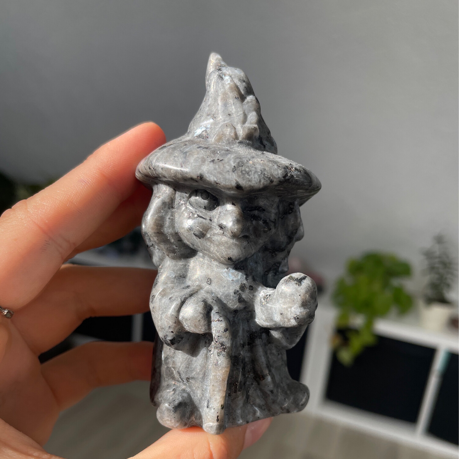 Larvikit Hexe