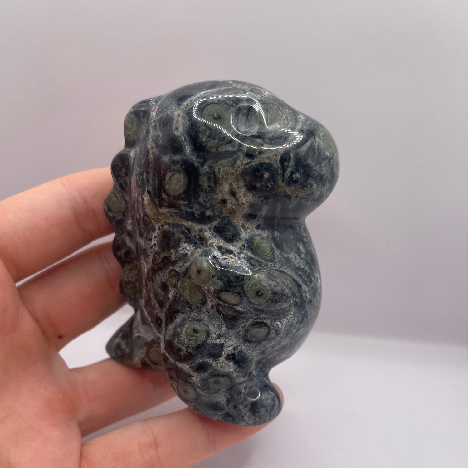 Kambaba Jaspis Chubby Dino