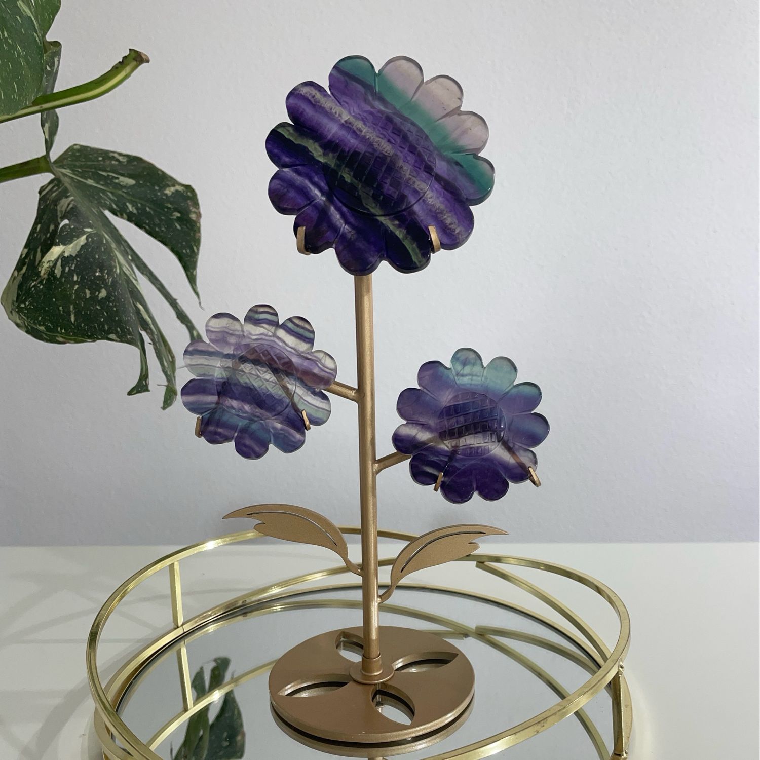 Fluorit Blume