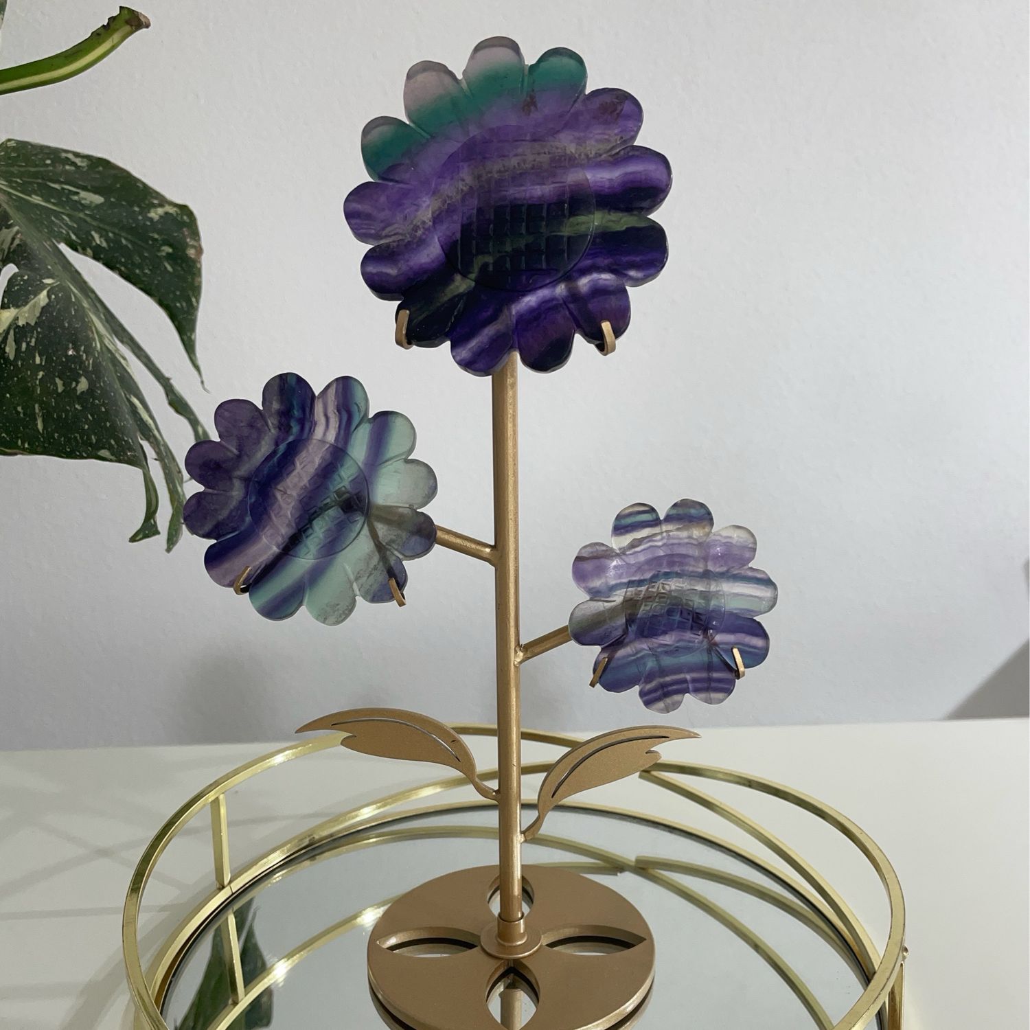Fluorit Blume