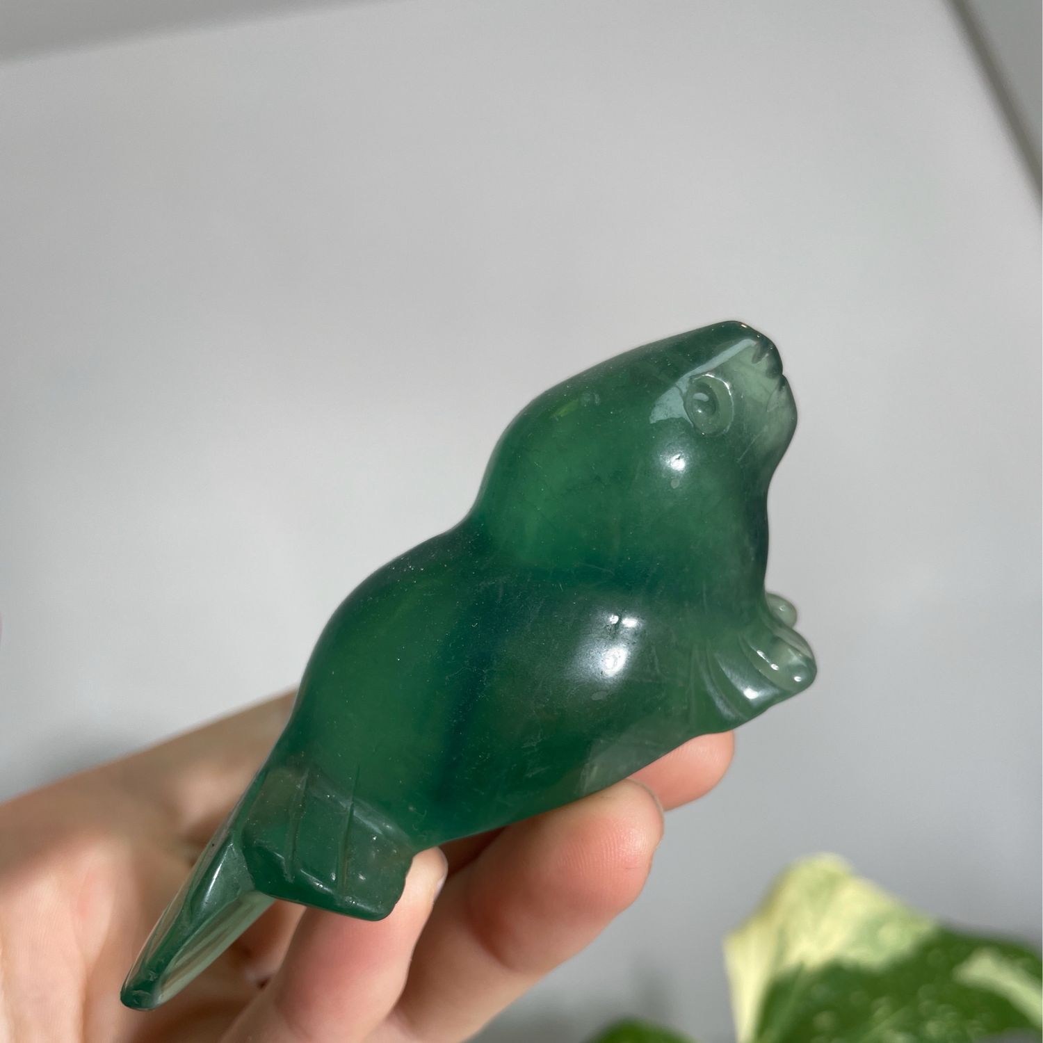Fluorit Robbe