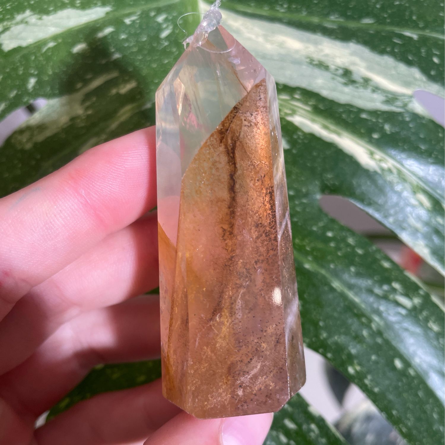 Golden Healer x Dendrit Turm