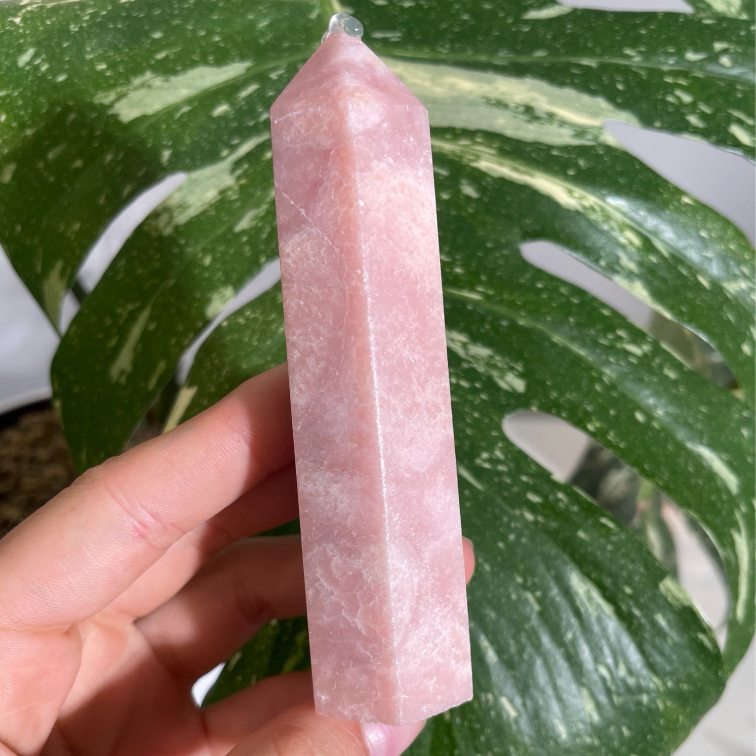 Rosa Opal Turm