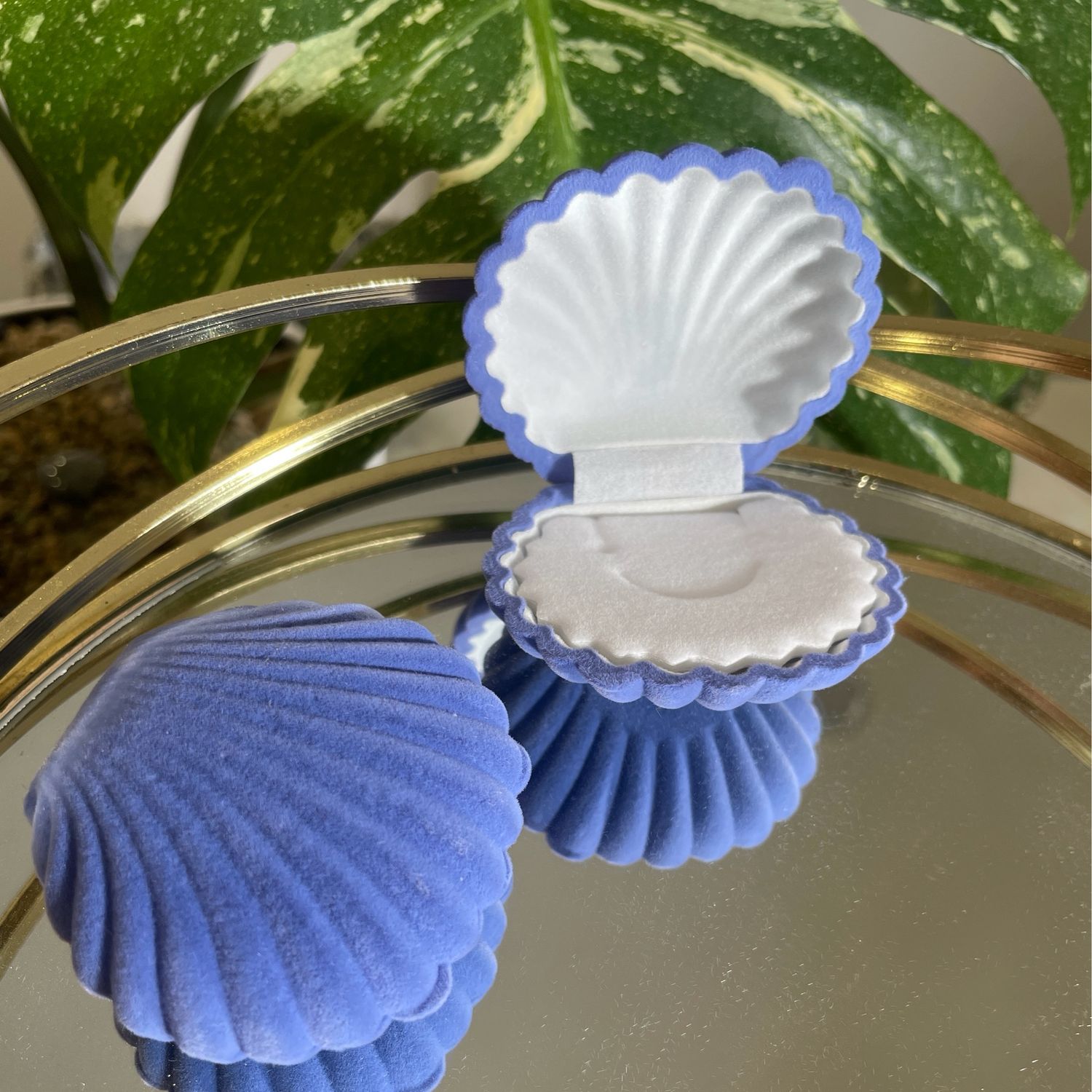 Muschel Schmuckschatulle „blau“