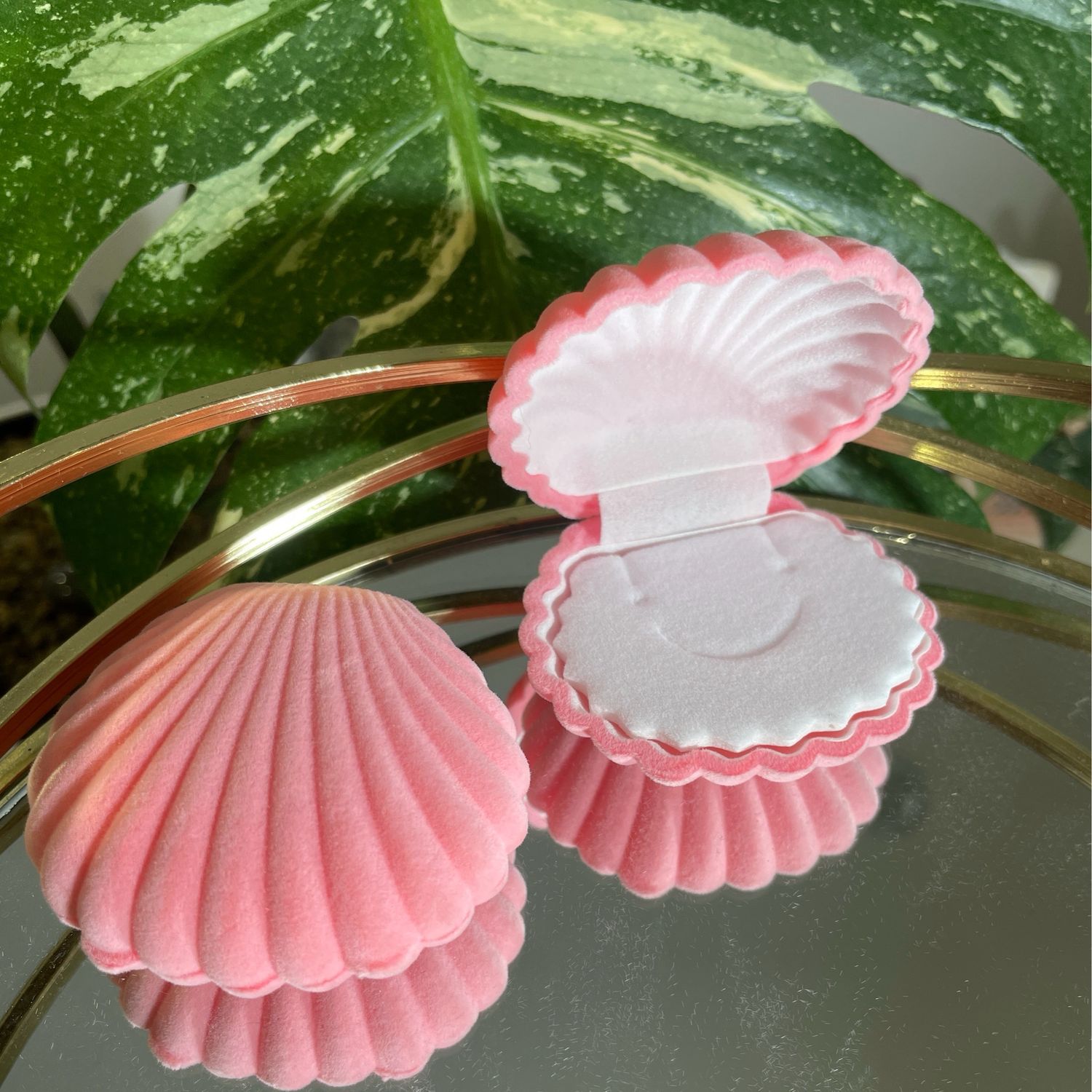 Muschel Schmuckschatulle „pink“