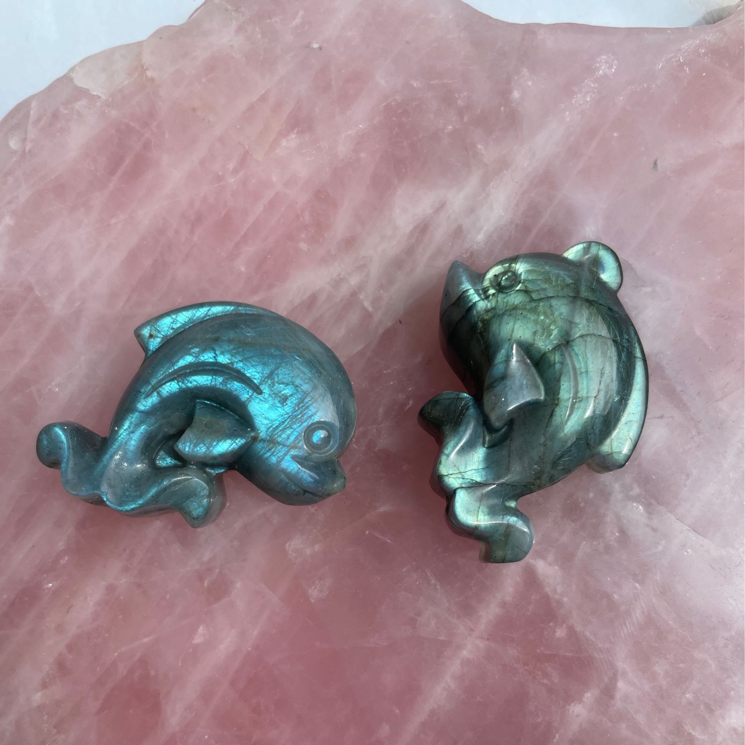 Delfin x Labradorit