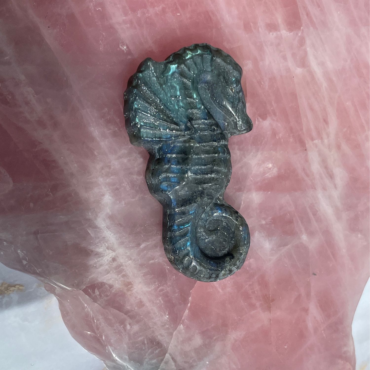 Seepferdchen x Labradorit