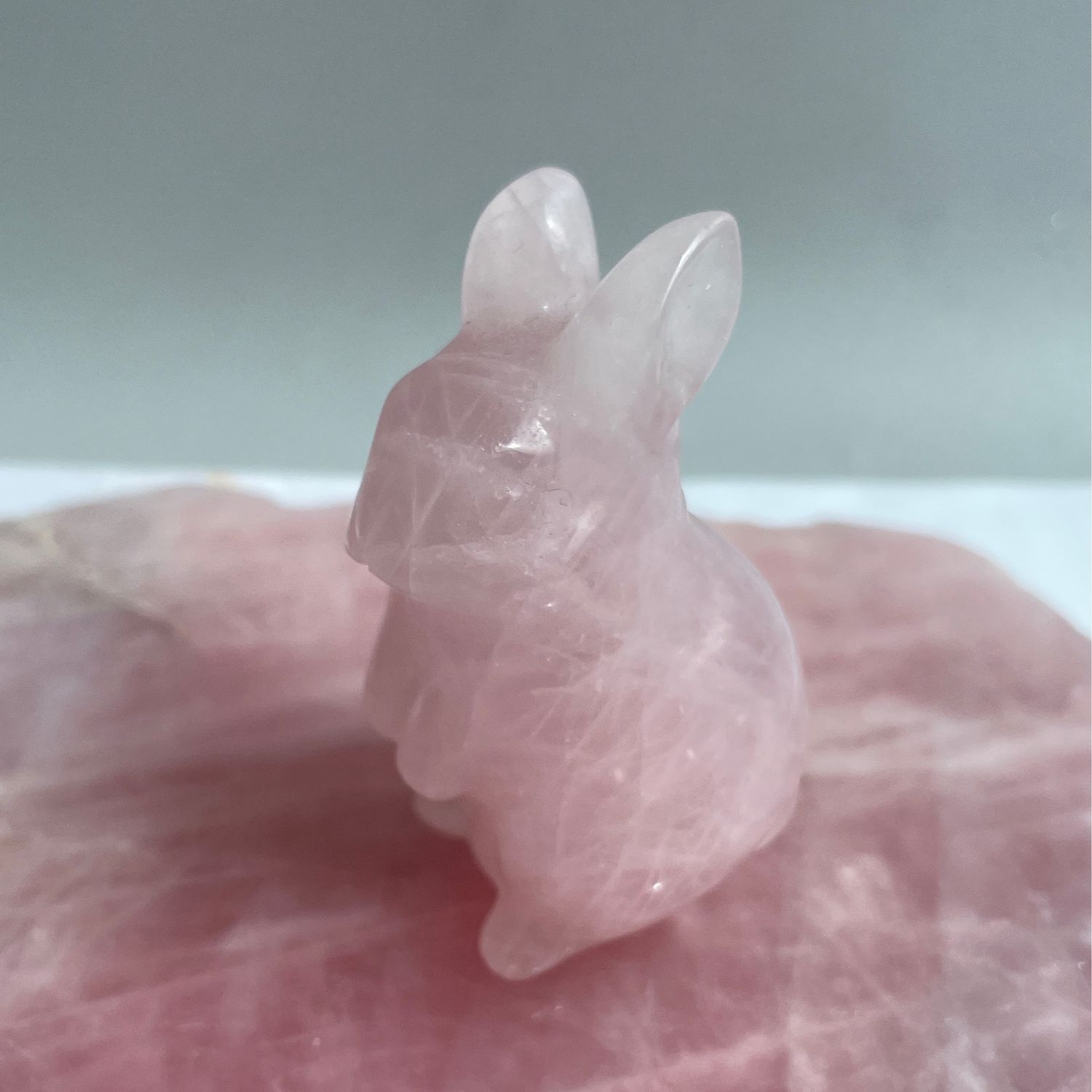 Hase x Rosenquarz
