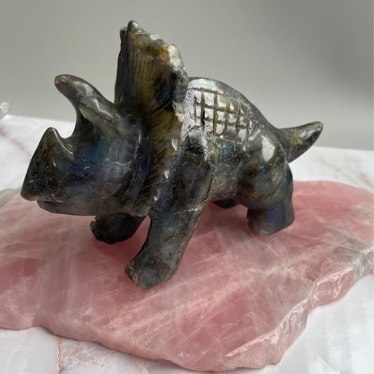 Triceratops x Labradorit