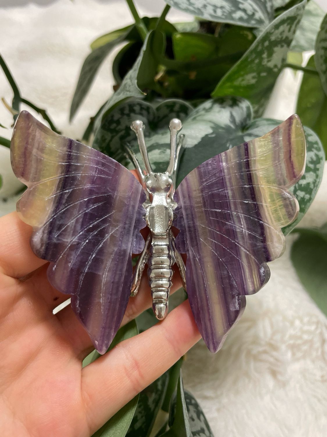 Fluorit Libelle