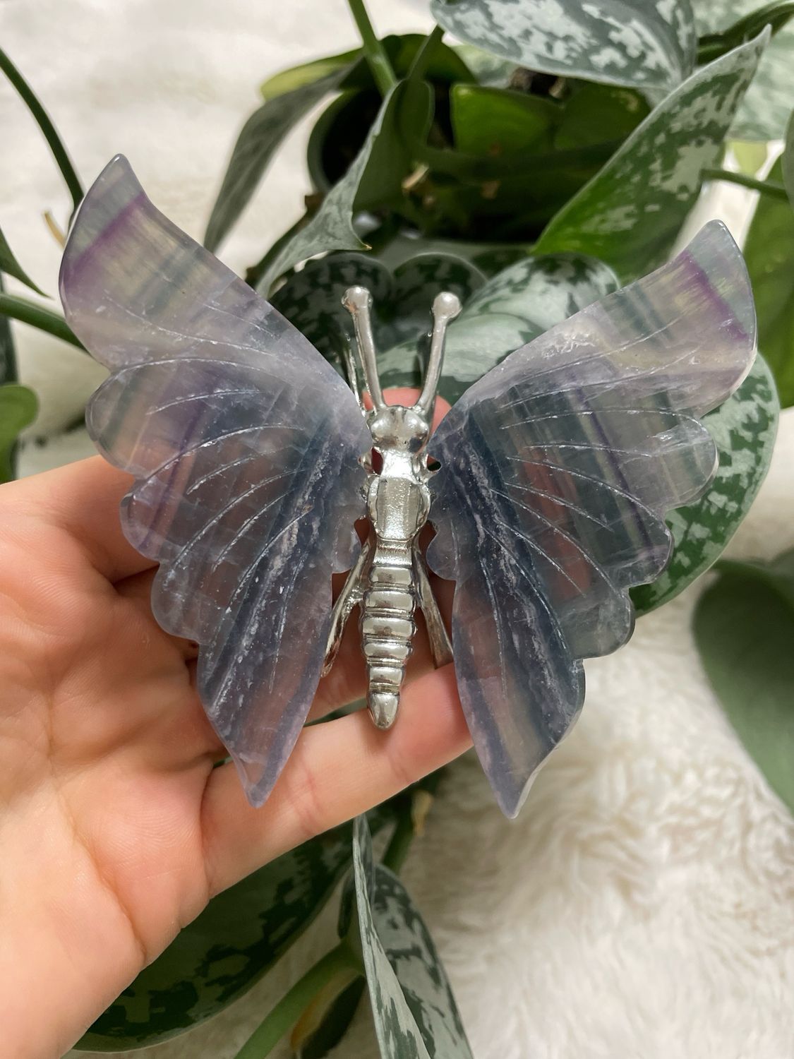 Fluorit Libelle