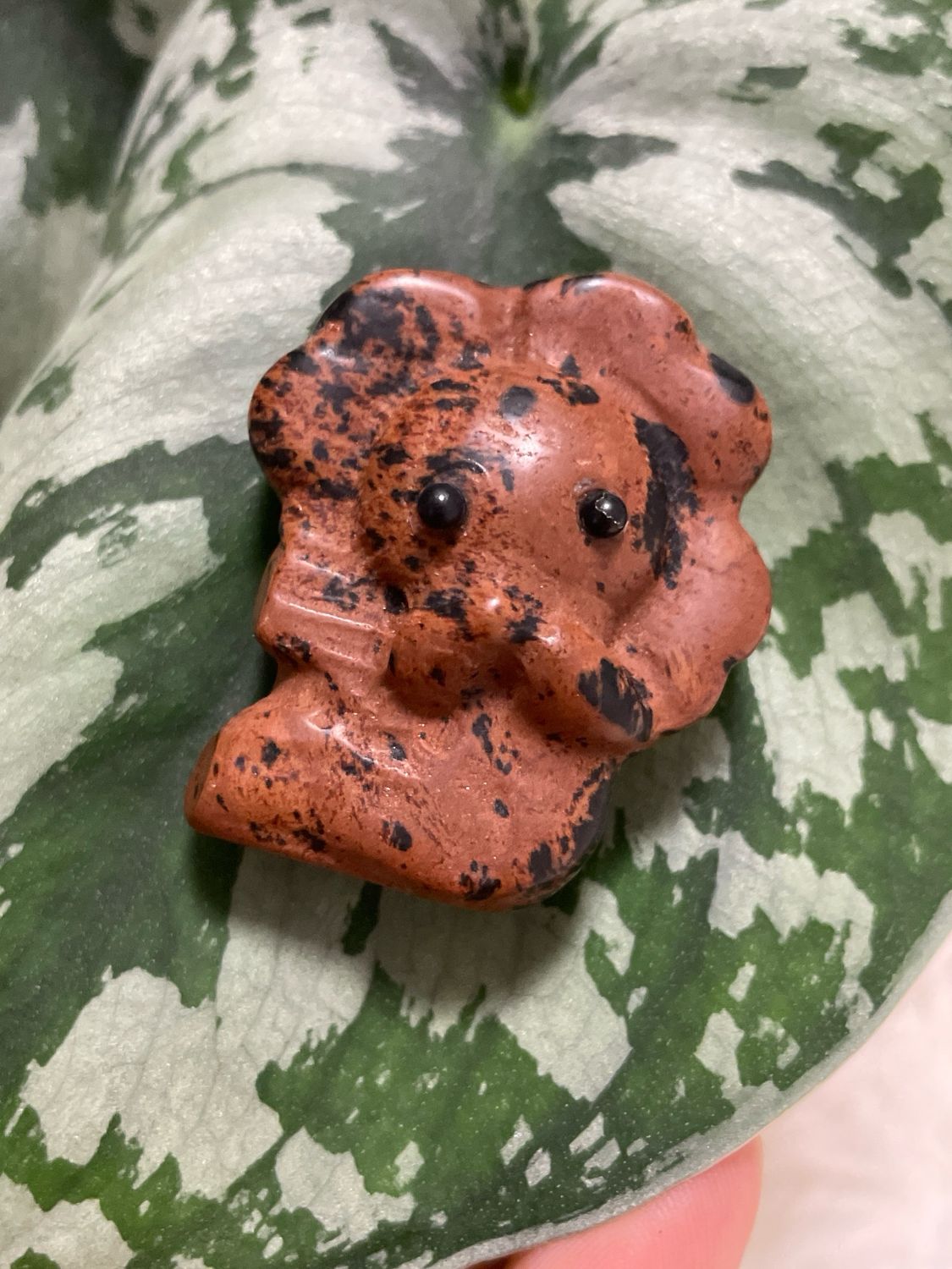 Mahagoni Obsidian Kleeblatt
