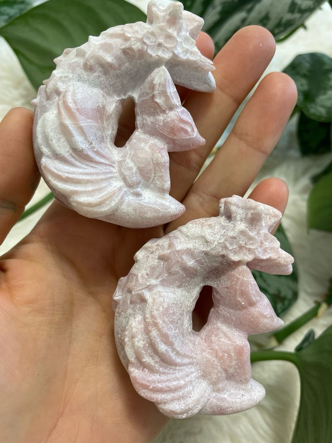 Rosa Opal Kitsune