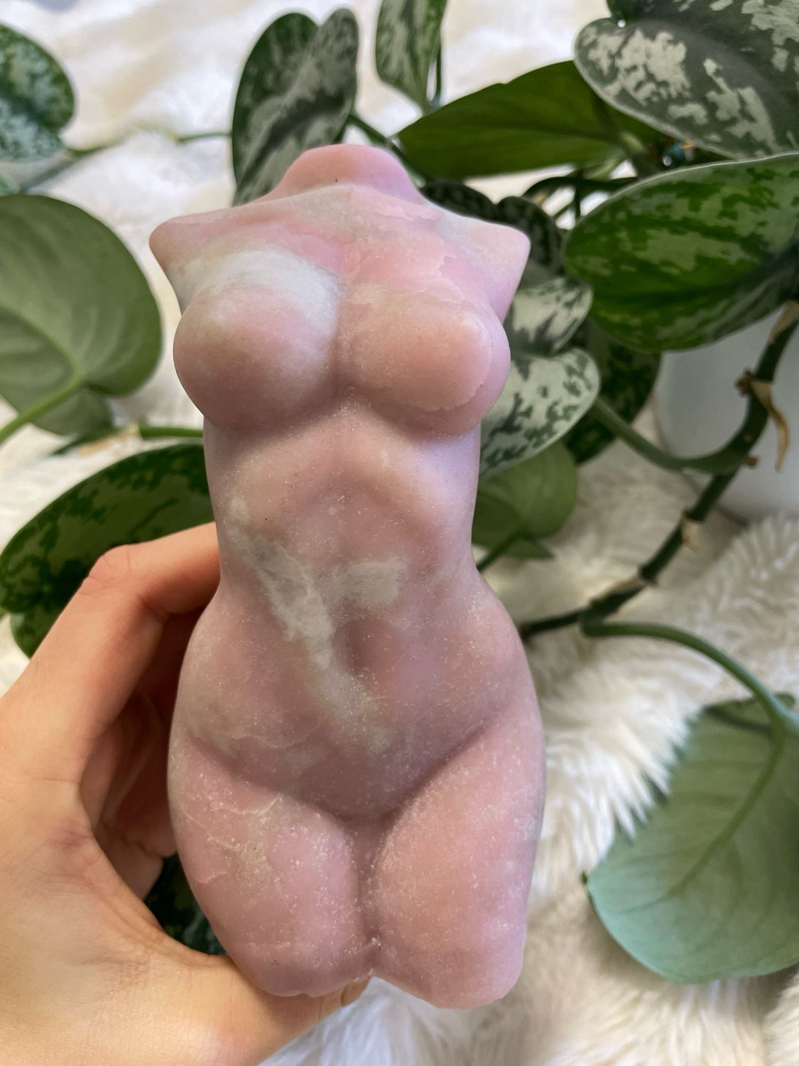 Rosa Opal Frauen Body