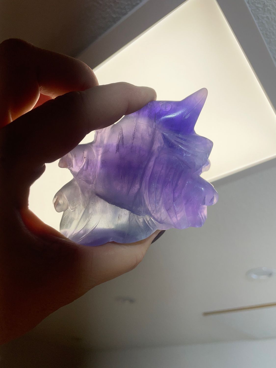 Fluorit Delfin