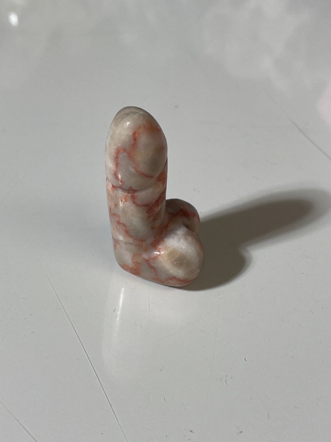 Pimmel roter Venenjaspis
