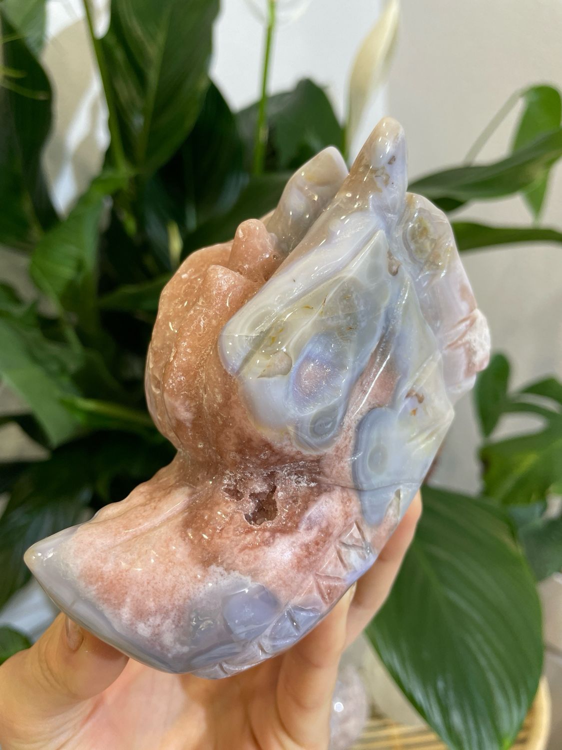 Pink Amethyst in Achat Drachen Schädel