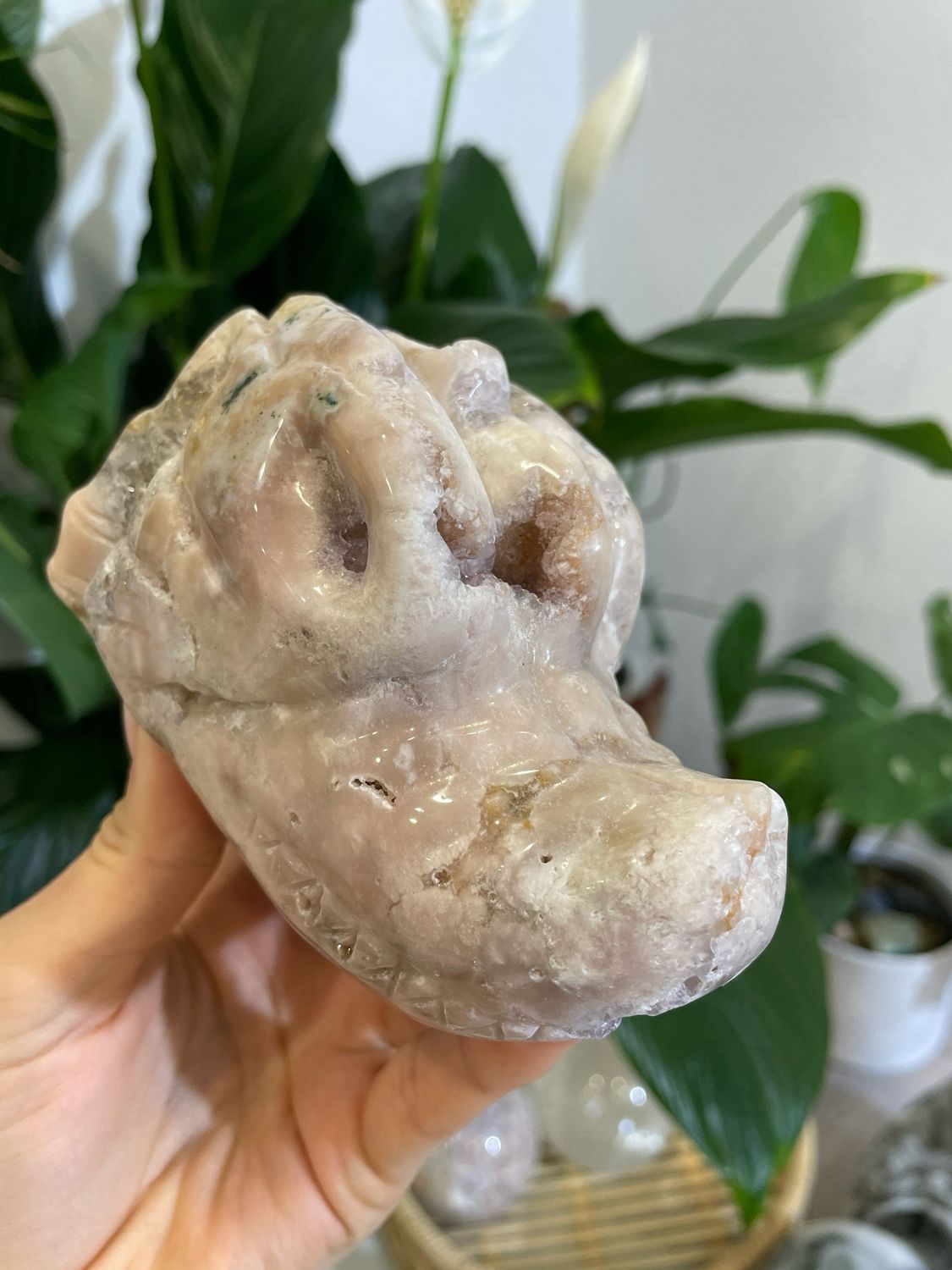 Pink Amethyst Drachen Schädel
