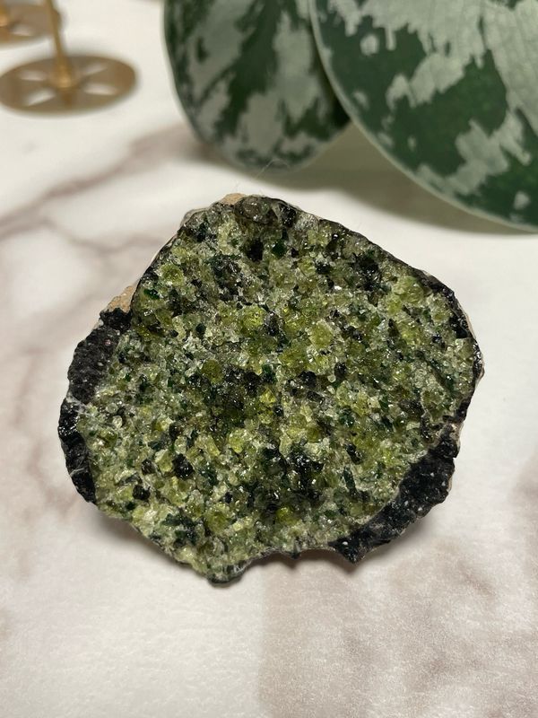 Peridot x Epidot