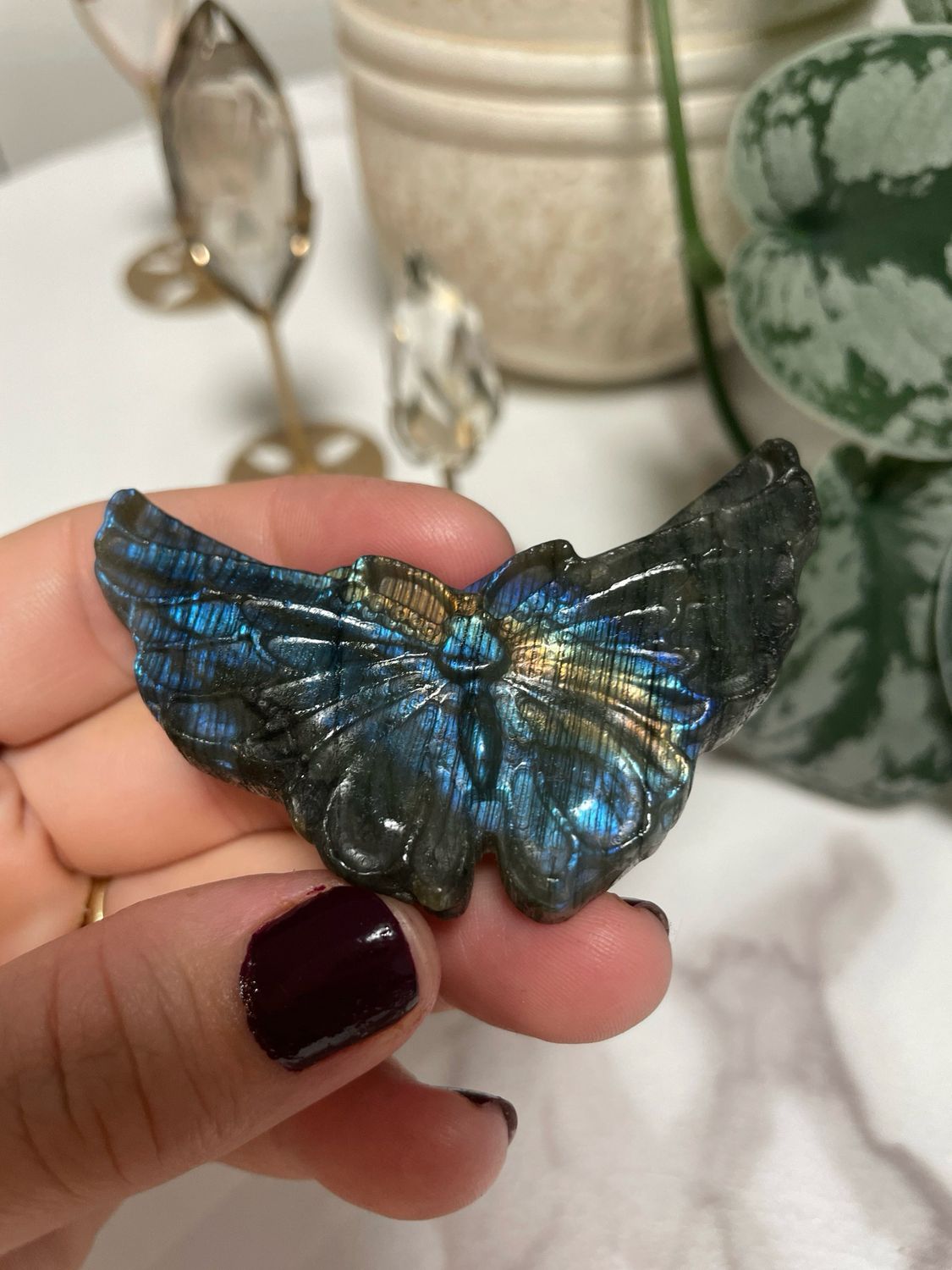 Schmetterling Labradorit