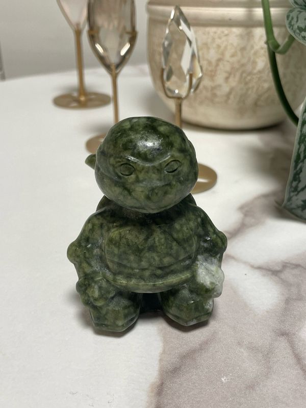 Ninja Schildkröte x grüne Jade Ninja Schildkröte x grüne Jade