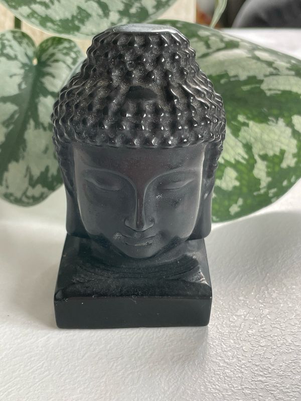 Buddhakopf x Obsidian