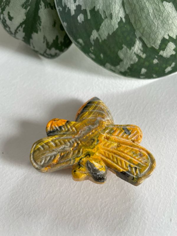 Biene x Bumblebee Jaspis