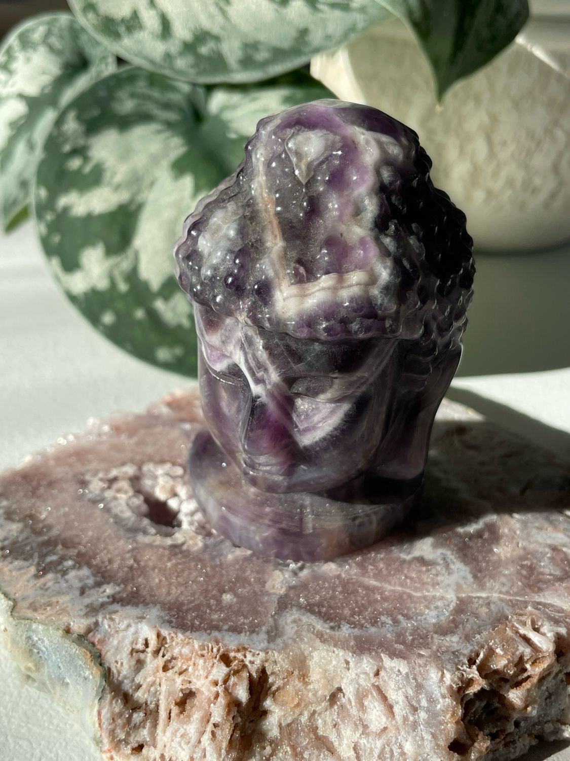 Buddhakopf x Chevron Amethyst