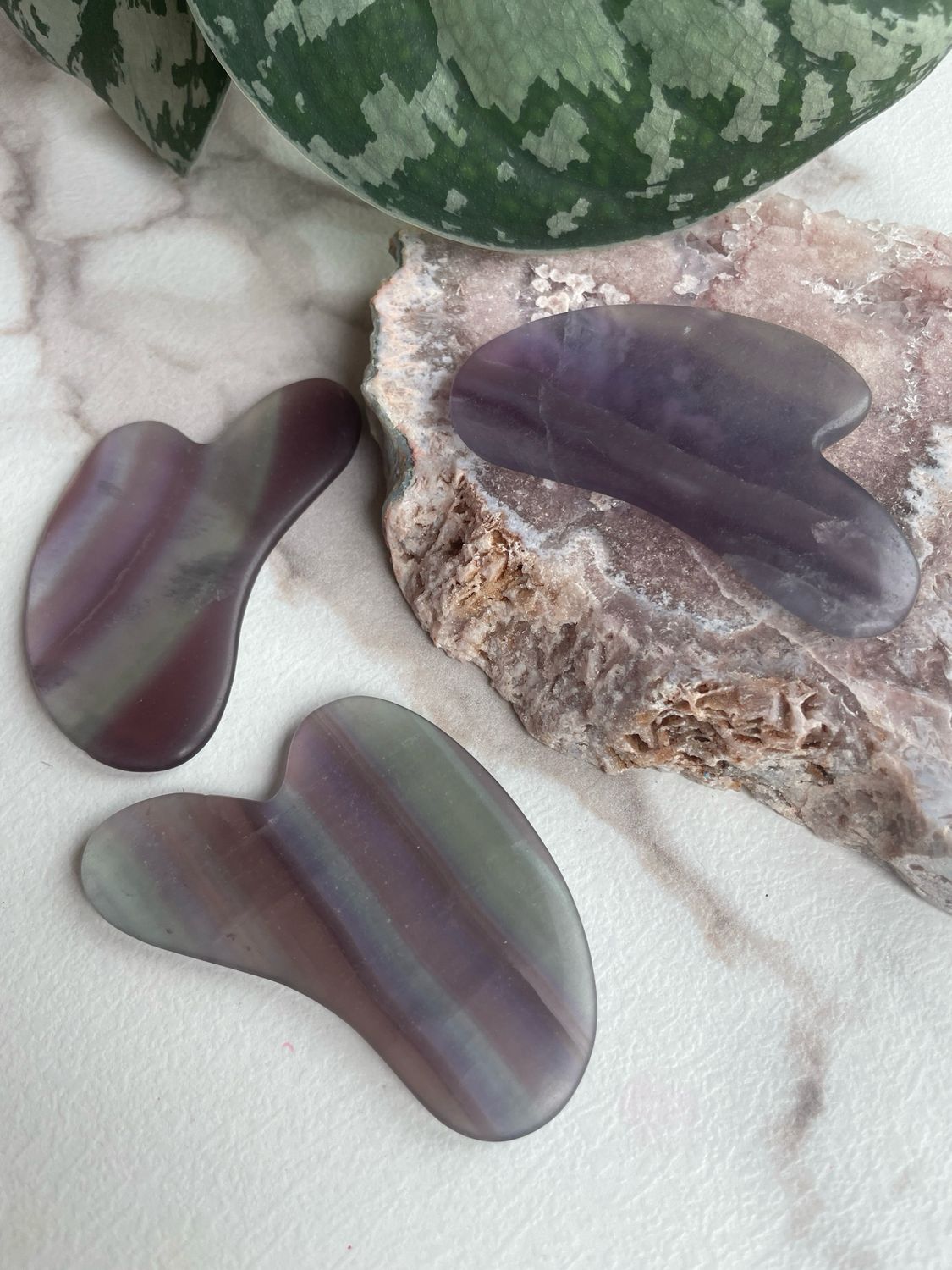 Guasha x Fluorid