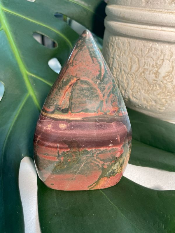 Freiform x Polychrome