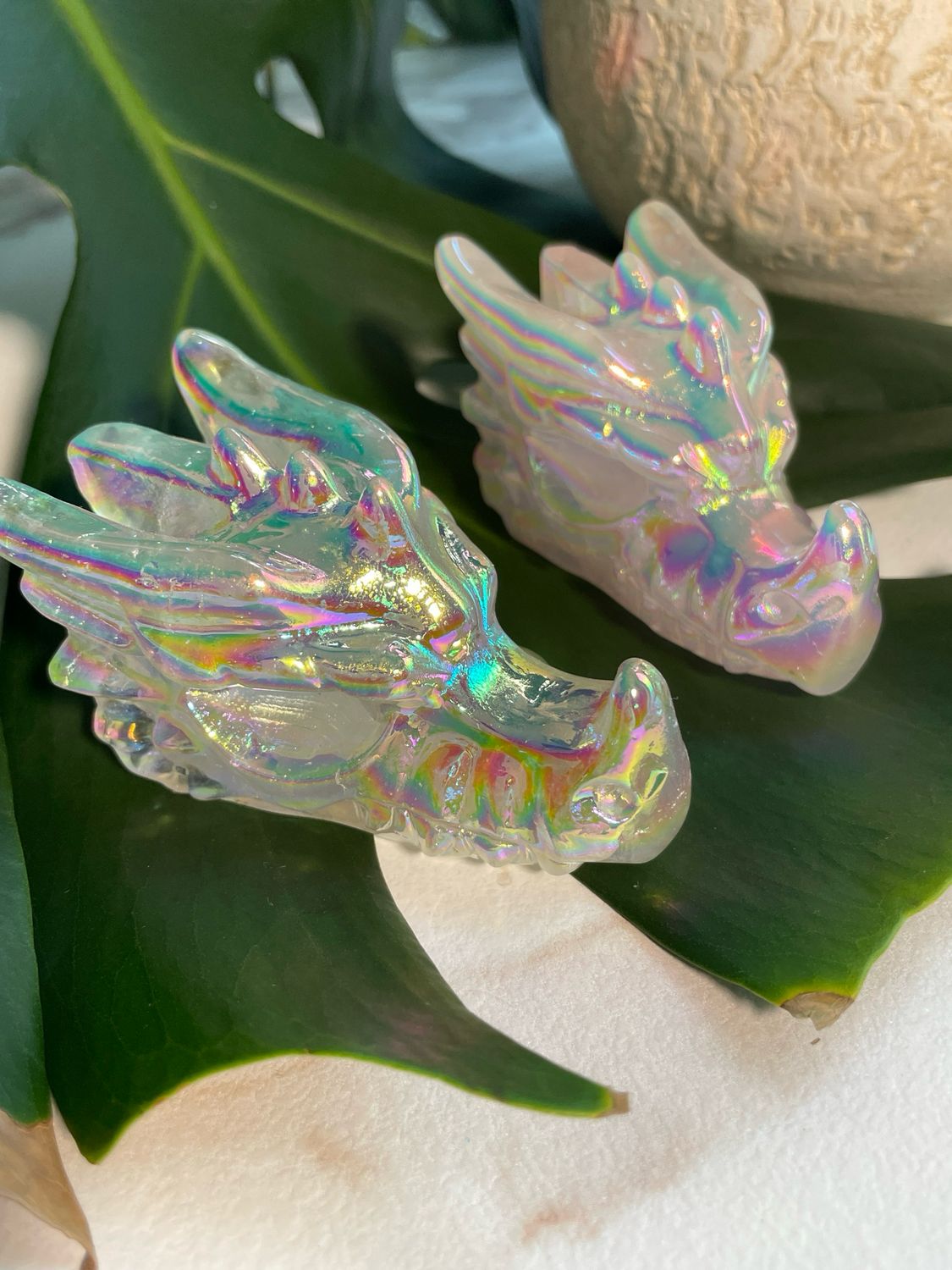 Drachenkopf x Angel Aura Rosenquarz
